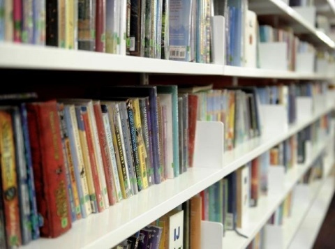 library books on shelf